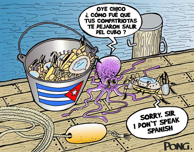 CANGREJOS CUBANOS EN EL CUBO DEL PROTAGONISMO. Por Alfredo Pong.