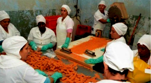 LA DICTADURA CUBANA LE INFORMA AL PUEBLO DE LA ISLA: Programas con gallinas decrpitas y superproduccin de croquetas, los planes para la "soberana alimentaria" en Cuba...     cubademocraciayvida.org                                                                                                                                                                                                                                     web/folder.asp?folderID=136 