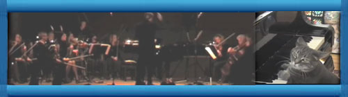 PARA DESCONECTAR: Un gato toca el piano acompaado por una orquesta sinfnica. Excelente video y bella msica. cubademocraciayvida.org web/folder.asp?folderID=136