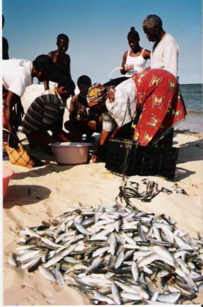 Comprando pescados frescos en Costa del Sol, Maputo-Mozambique.Continuacin de las entrevistas realizadas a Guillermo Miln en Mozambique. Desde la 4ta hasta la 5ta. CUBA DEMOCRACIA Y VIDA. 